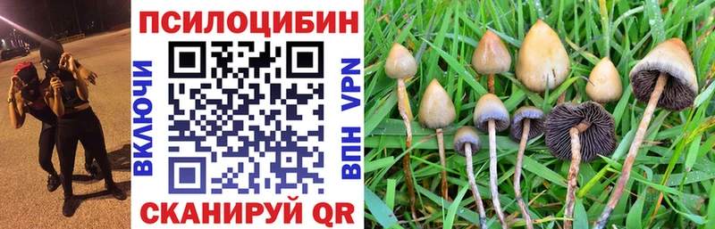 Псилоцибиновые грибы GOLDEN TEACHER  дарнет шоп  блэк спрут вход  Кулебаки 
